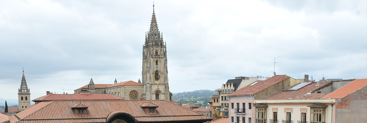 2. Ayuntamiento de Oviedo